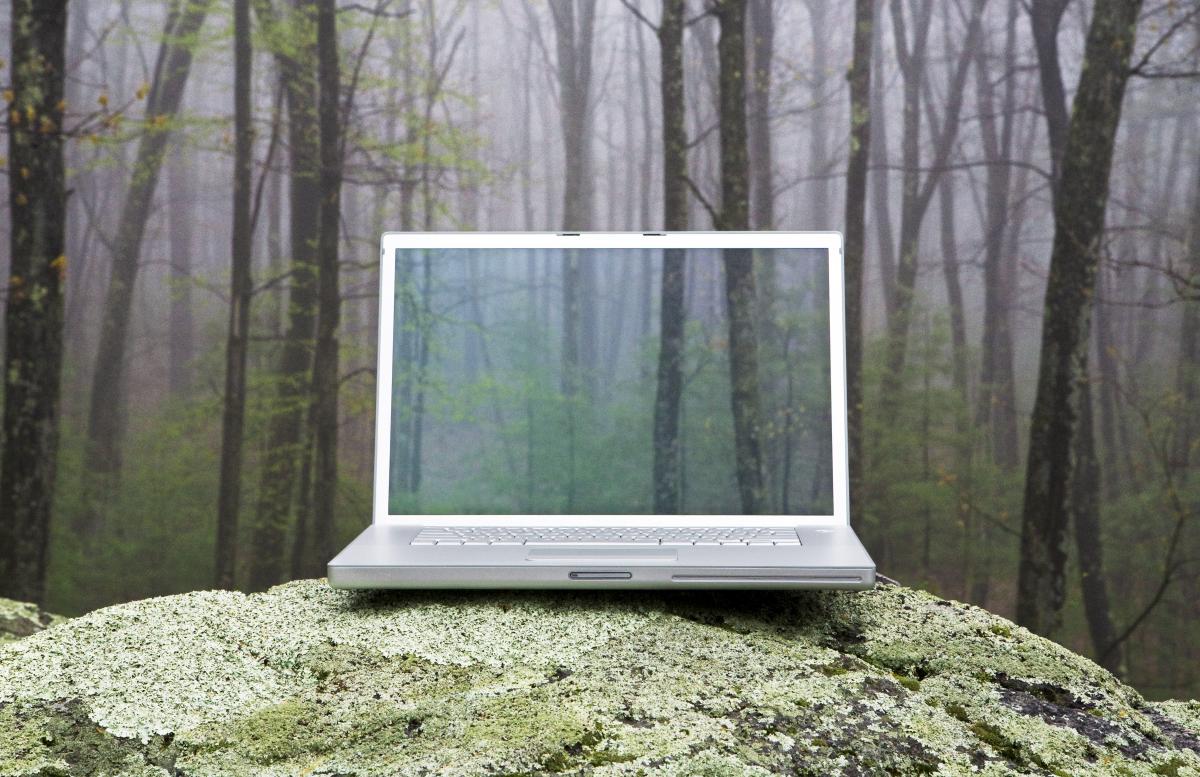 laptop-on-green-rock-in-forest-with-transparent-screen