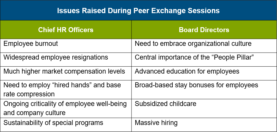 chart of issues raised during peer exchange sessions