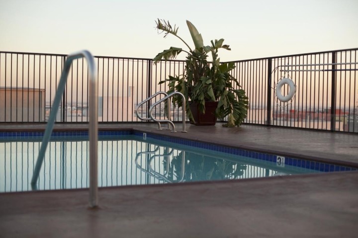 small pool and large outdoor plant on rooftop deck at dusk