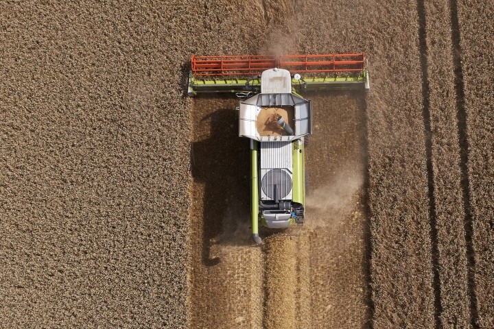 combine harvesting crop