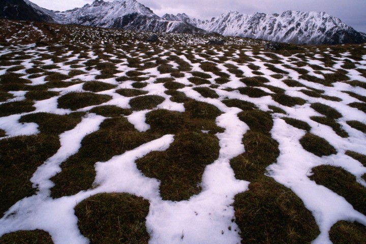 melting snow in mountain range with purple sky