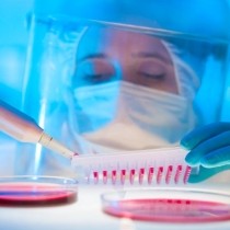 life sciences technician working with petri dishes