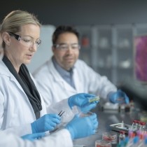 three life sciences researchers working together in the lab