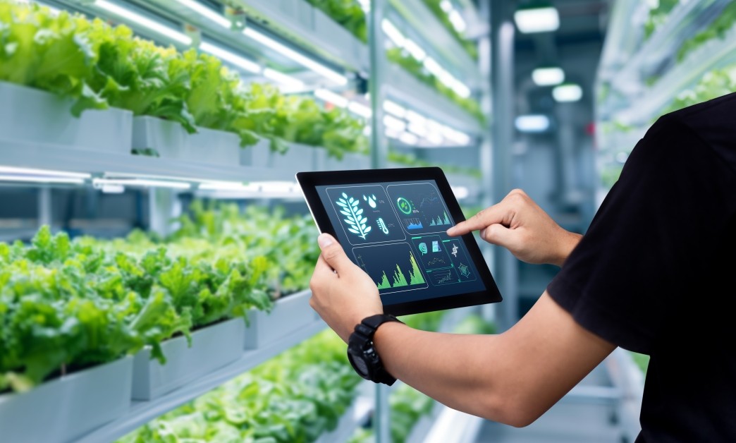 smart farming agriculture concept