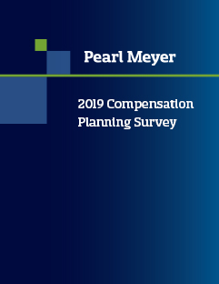 Compensation planning report cover